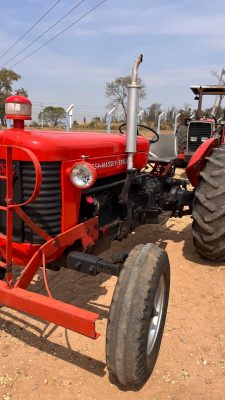 TRATOR AGRÍCOLA MF65x